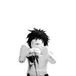 @jpk20096