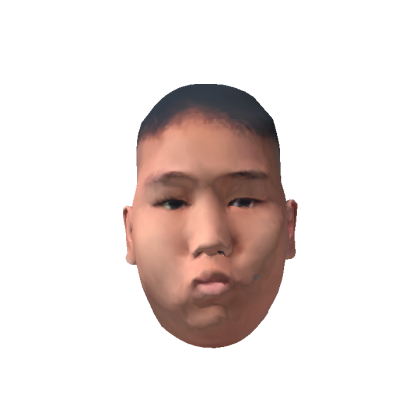 Baby Shorata Full Head