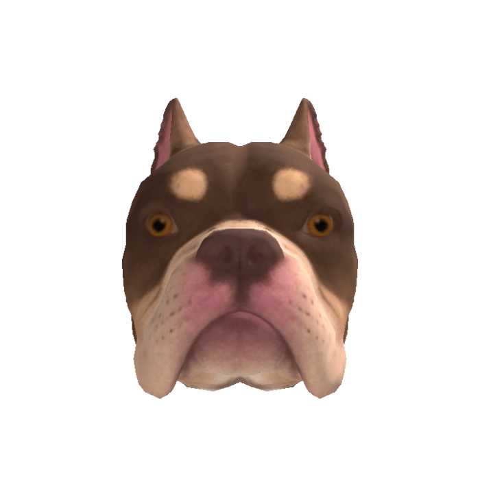 Bulldog Head