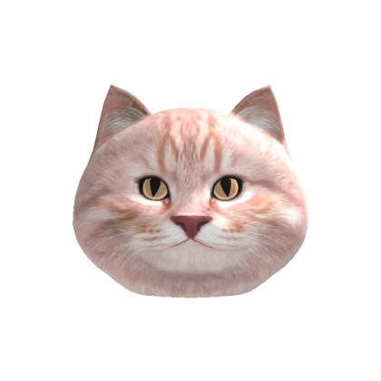 Spinning Cat