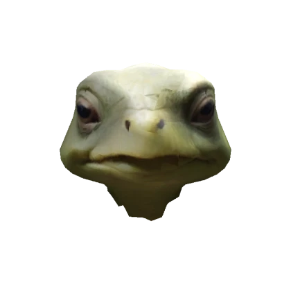 Turtle - Roblox