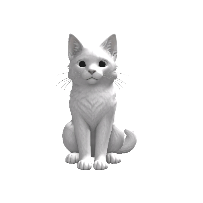 White Cat Head Following Eyes