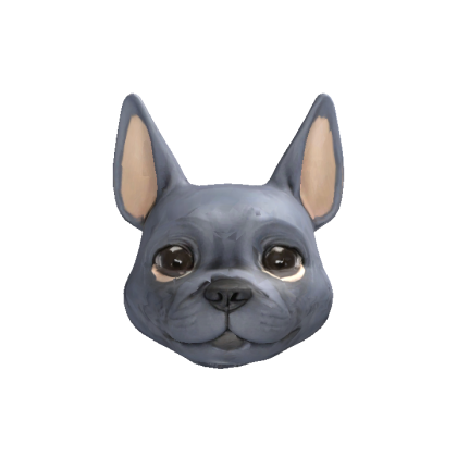 Cute Dog