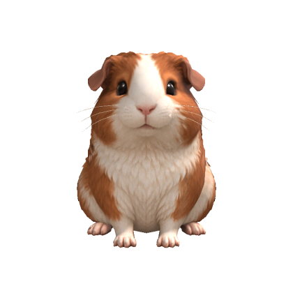 Guinea Pig Head Following Eyes