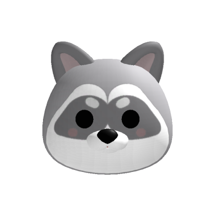 Kawaii Raccoon Head Head