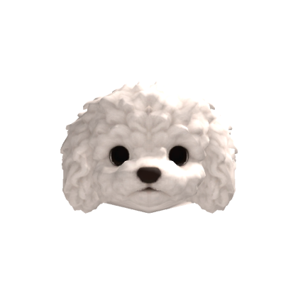 Little Poodle Puppy Head