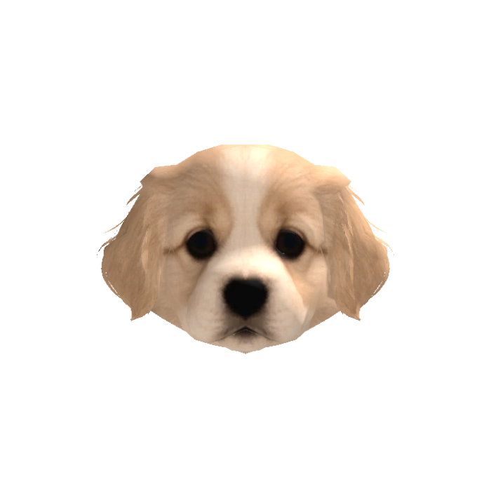 Shepherd Puppy Head