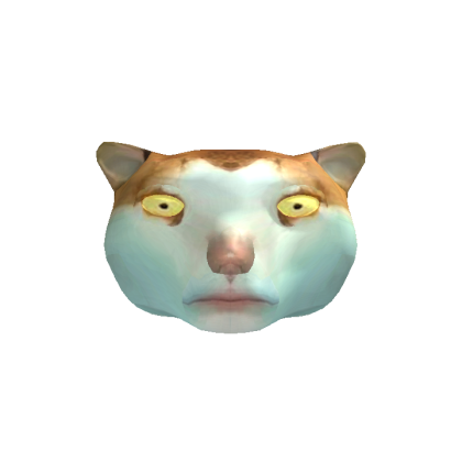 Broken Cat Meme