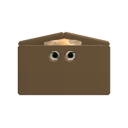 Orange cat in a box dyanmic Head