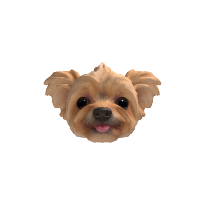 Willow Head