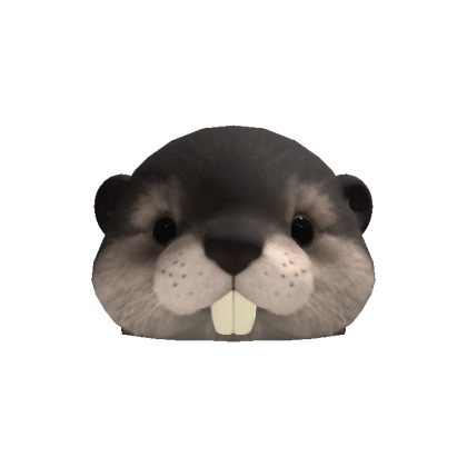 Beaver Head