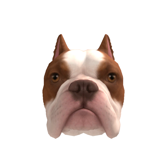 Bulldog Head