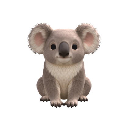 Koala Head Following Eyes