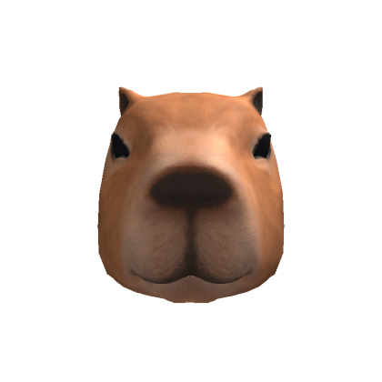 カピバラの頭