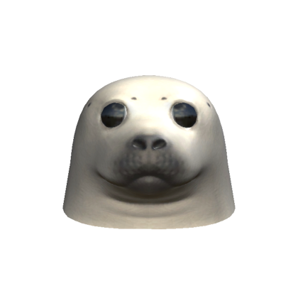 Harp Seal Head