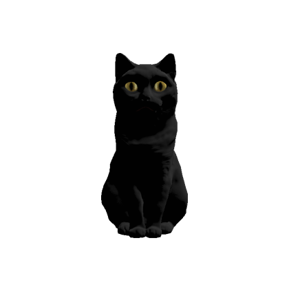 Black Sitting Cat Y eyes