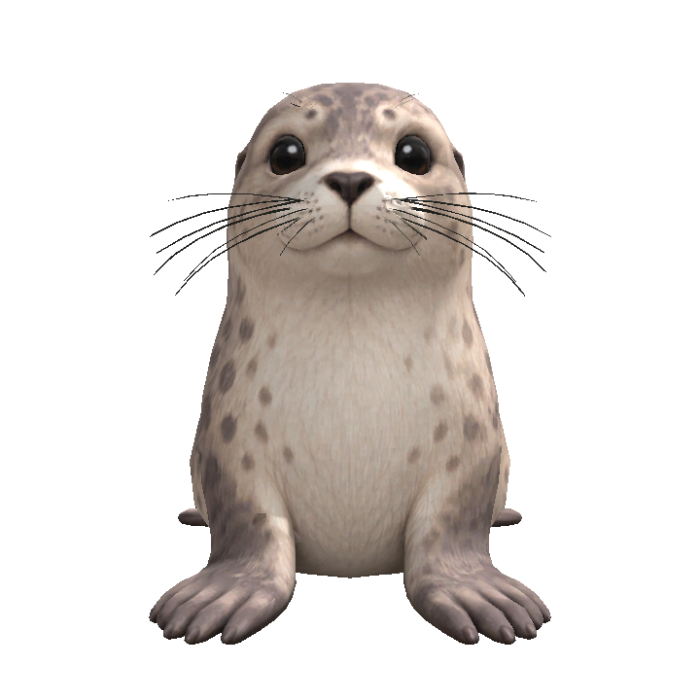 Seal Head Following Eyes