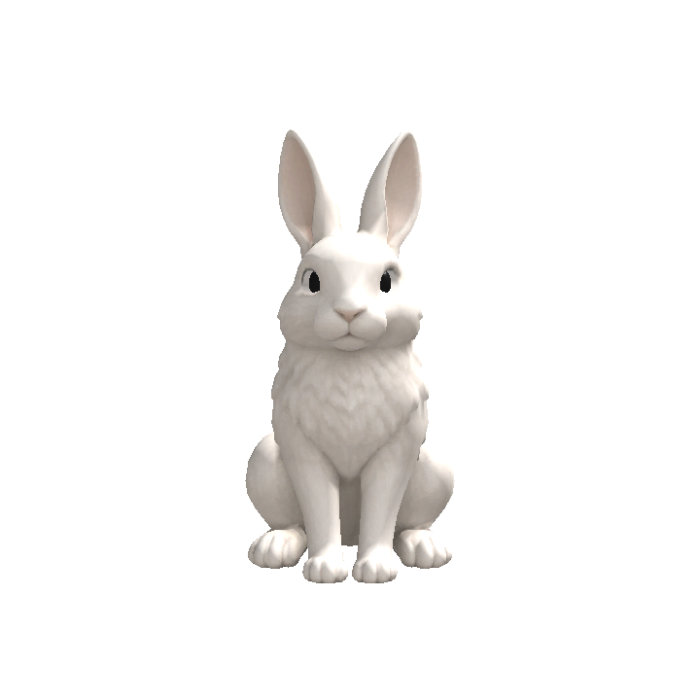 White Rabbit Head Following Eyes