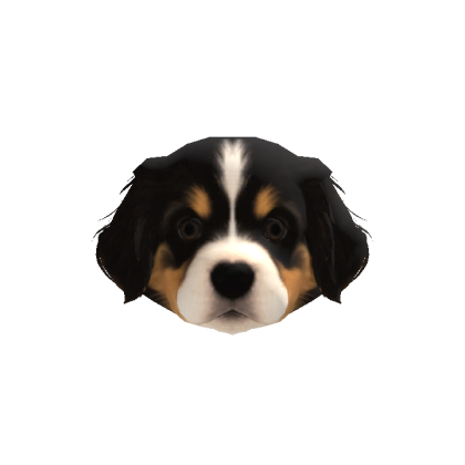 Shepherd Puppy Head