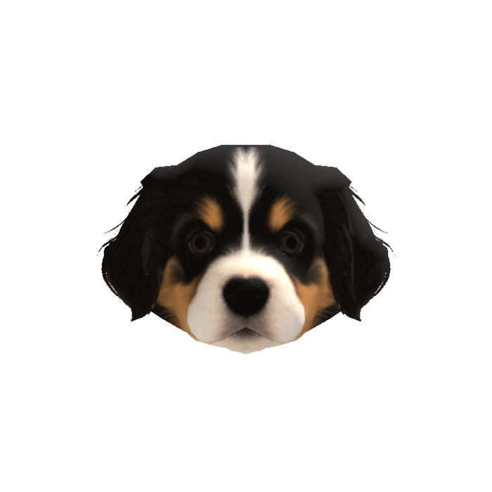 Shepherd Puppy Head