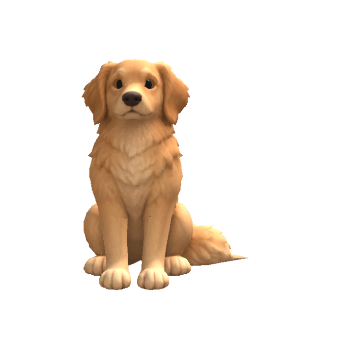 Dog Head Following Eyes