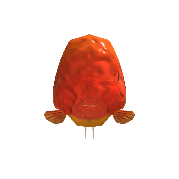 Ranchu Goldfish Head Orange