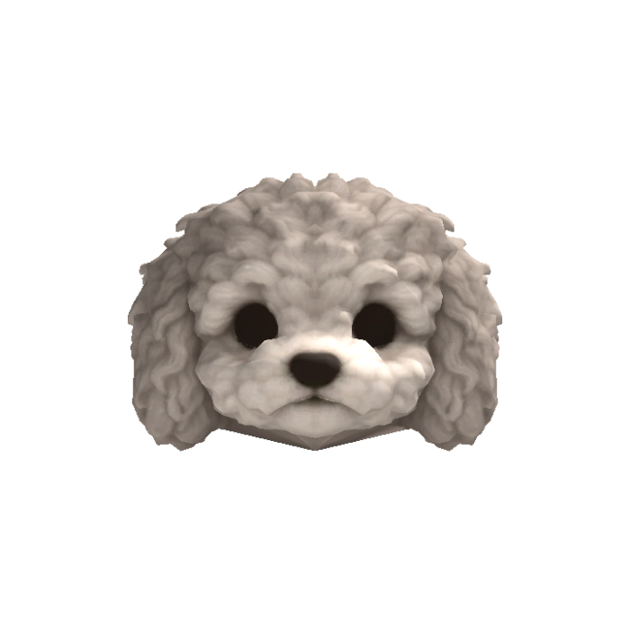 Little Poodle Puppy Head