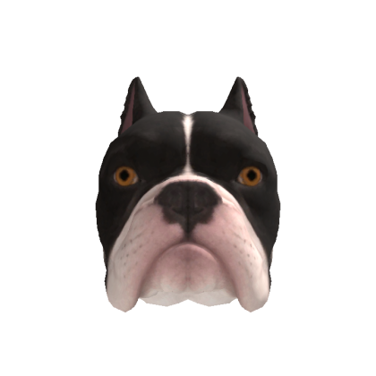 Bulldog Head