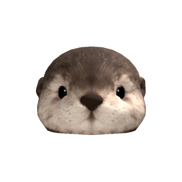 Sea Otter Head
