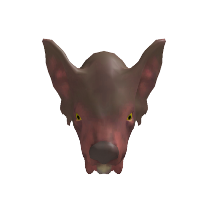 Rat Head