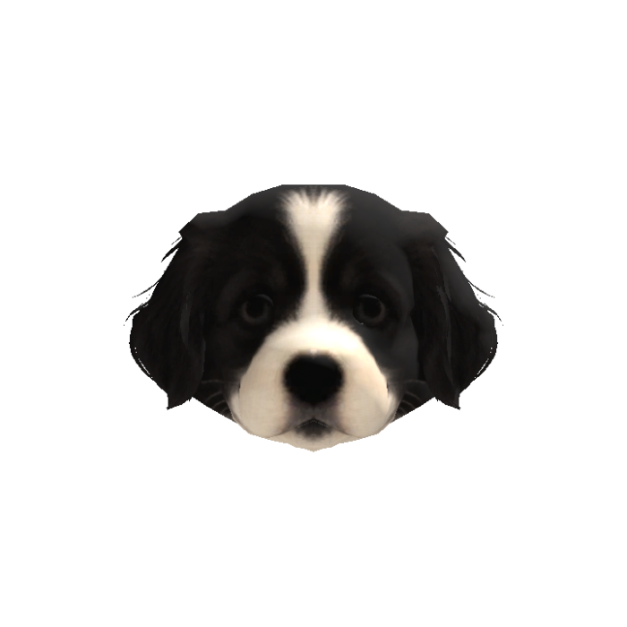 Shepherd Puppy Head