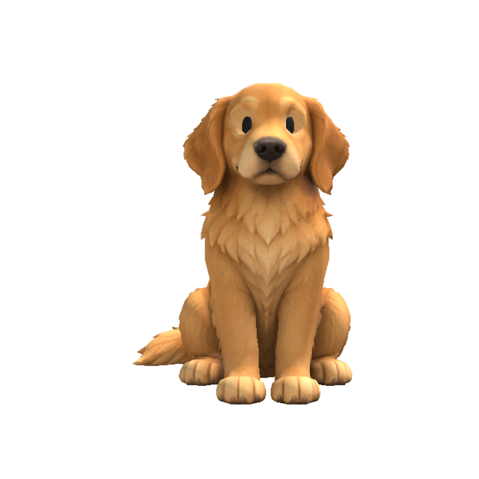 Dog Head Following Eyes