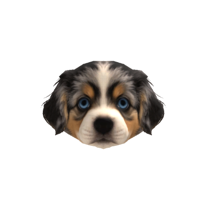 Shepherd Puppy Head