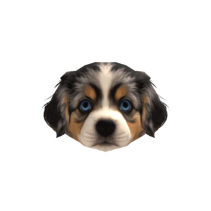 Shepherd Puppy Head