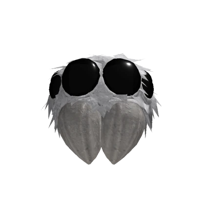 Jumping Spider - Roblox