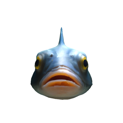 Fish Head
