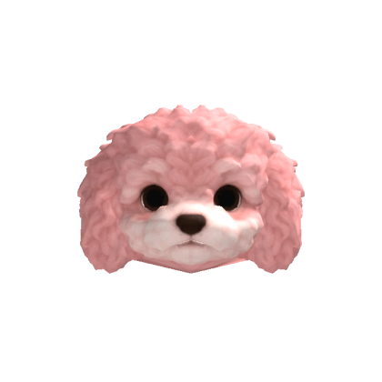 Little Poodle Puppy Head