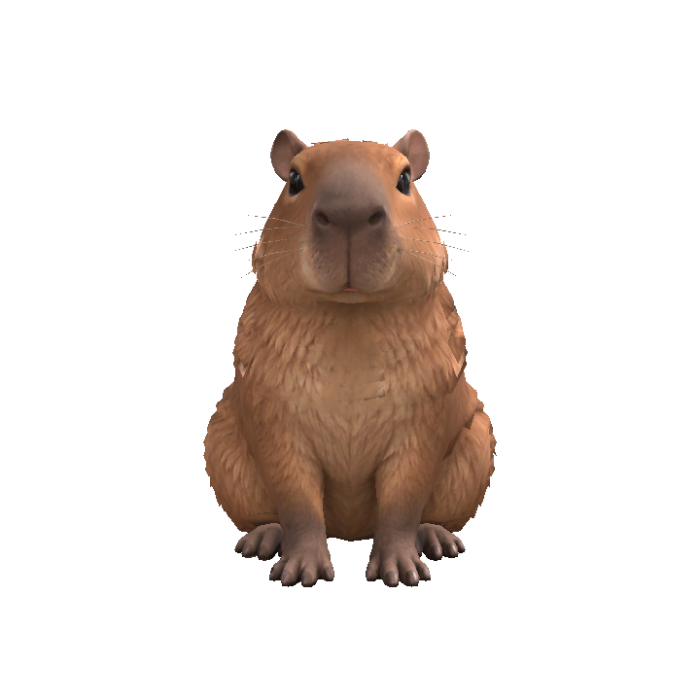 Capybara Head Following Eyes