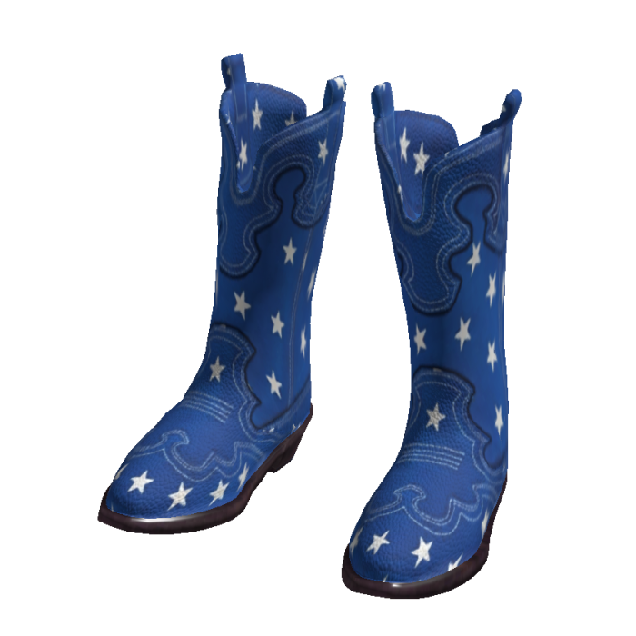 Blue Stars Vintage Western Cowgirl Boots
