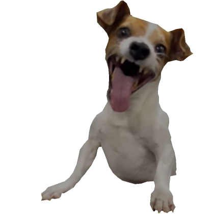 Roblox Item Laughing dog