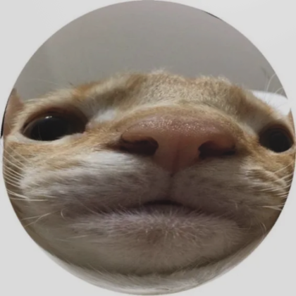 Cat Pfp | Roblox Item - Rolimon's