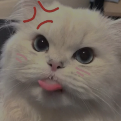 Cute cat profile picture sale