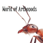 World of Arthropods