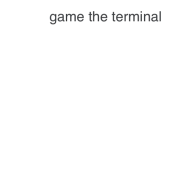 Spiel-Terminal
