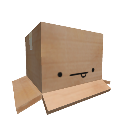 :P Cardboard Box | Roblox Item - Rolimon's