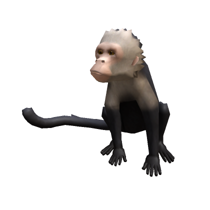 How to get the Roblox Monkey Safari Hat on PC for free