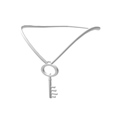 Roblox Item Silver Key Necklace 1.0