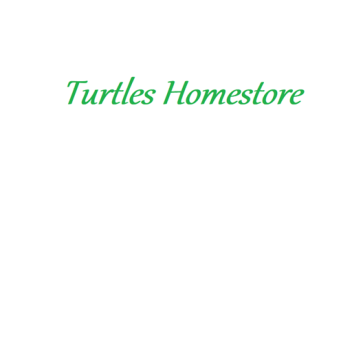 Turtles Home-store (Summer edition)
