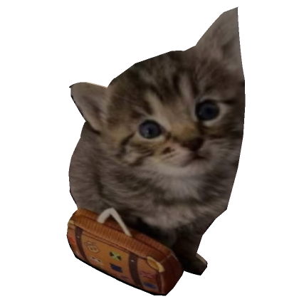 Meme Cat PFP  Roblox Item - Rolimon's