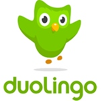The Duolingo Story
